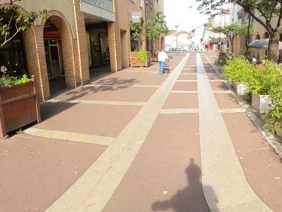 Vue de la rue à l’adresse de Miyako